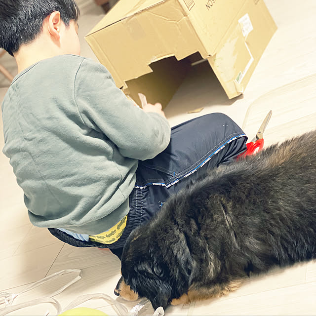 ohanaさんの実例写真