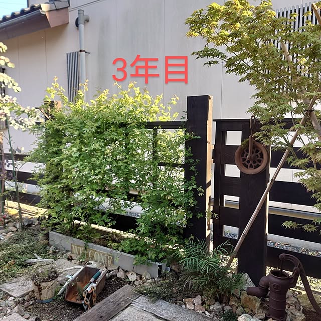 taka-kiさんの実例写真