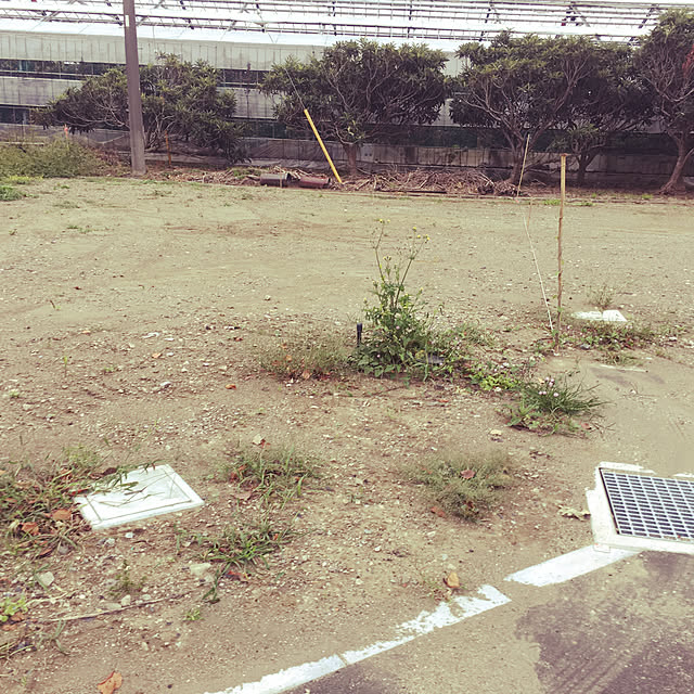 Kazuさんの実例写真