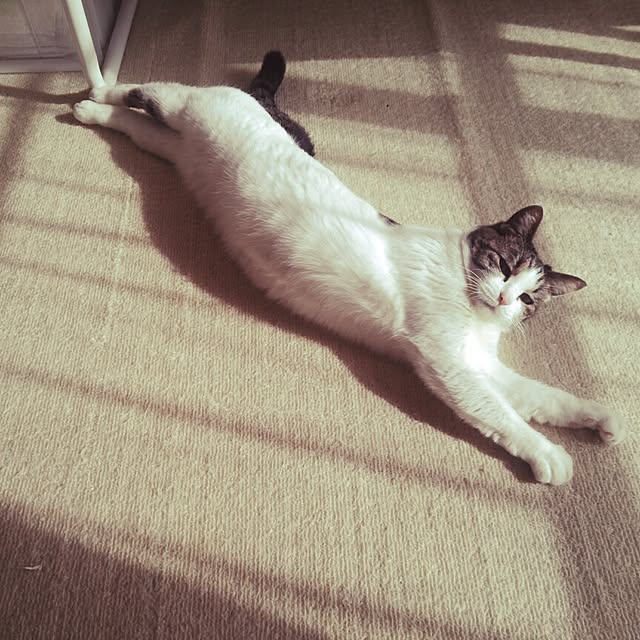 tsukasanさんの実例写真