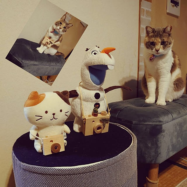 fukuさんの実例写真