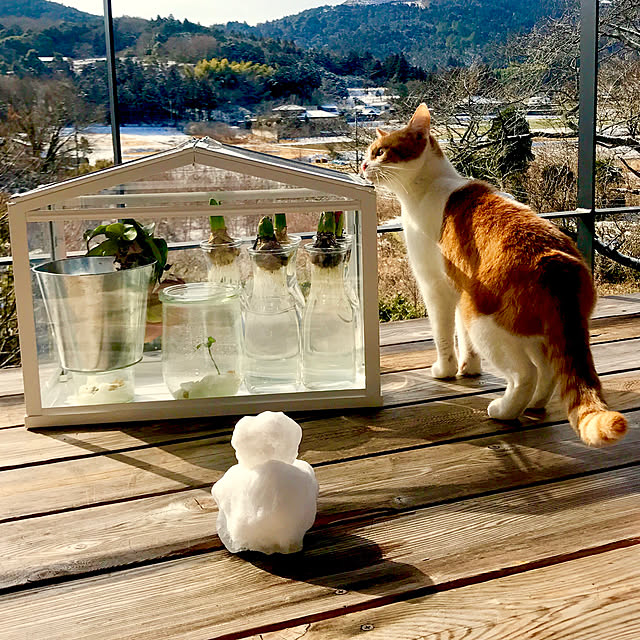 sakurasakuさんの実例写真