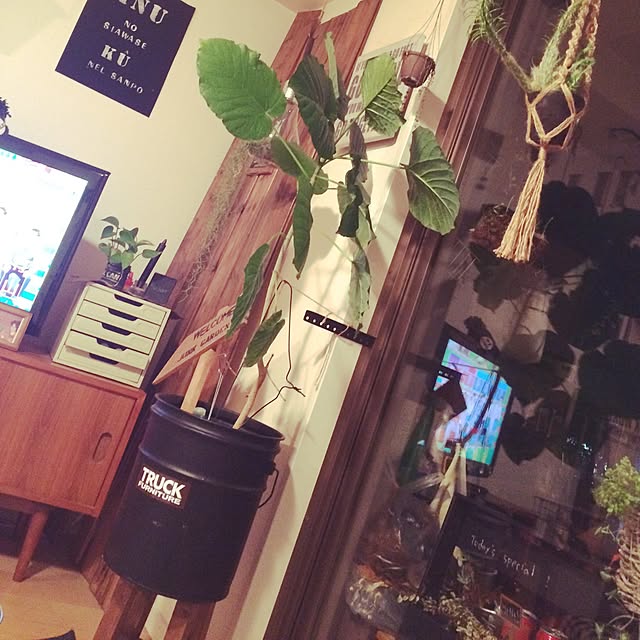riechocoさんの実例写真