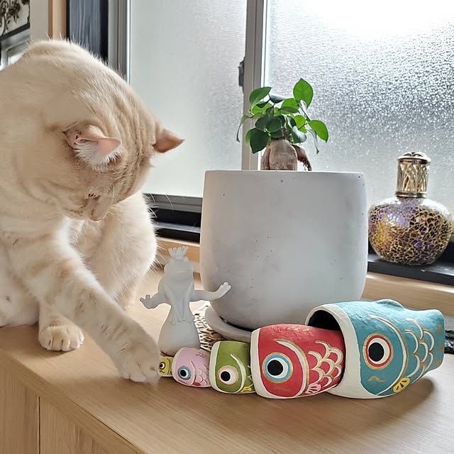 makoさんの部屋