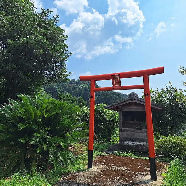 実例写真