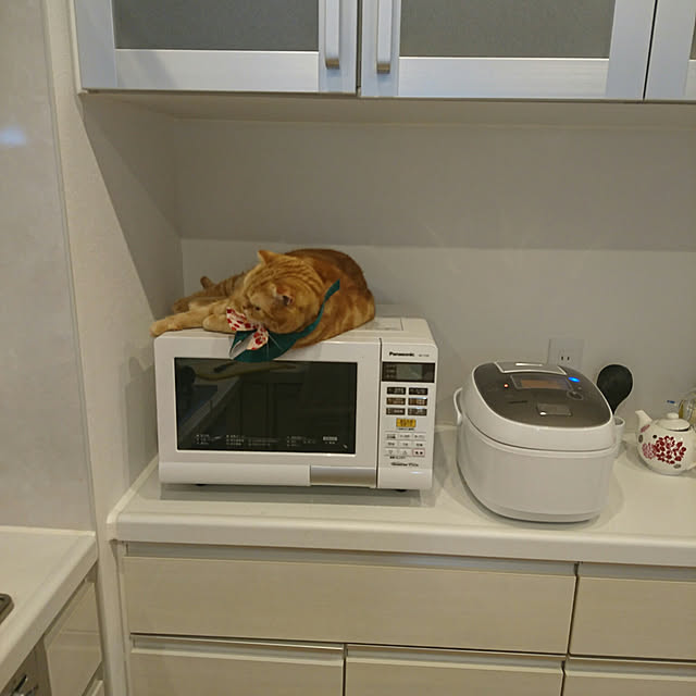 naoさんの実例写真
