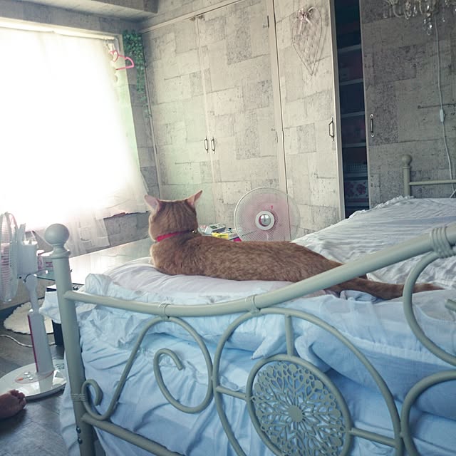 fu-ka24さんの実例写真