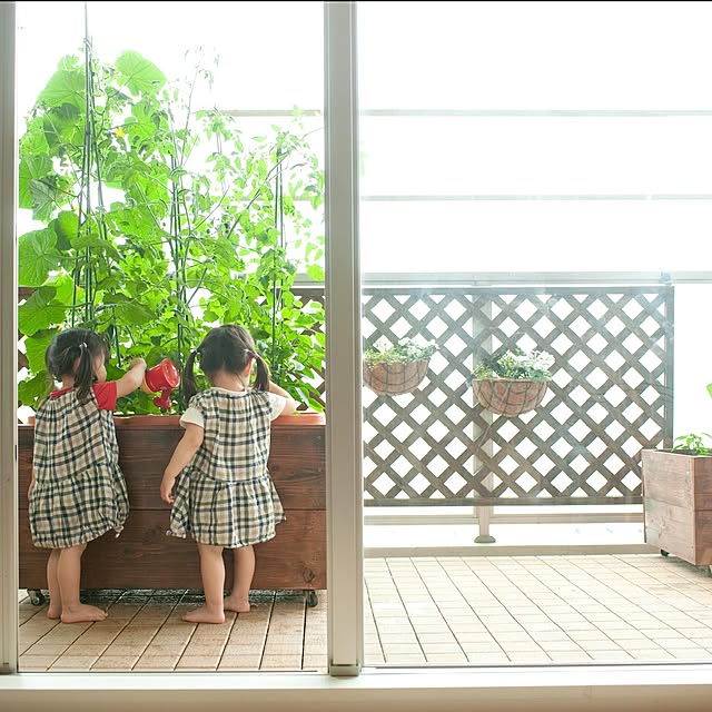 LaLaさんの実例写真