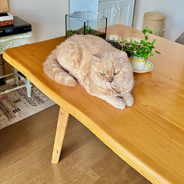 naokoさんの部屋