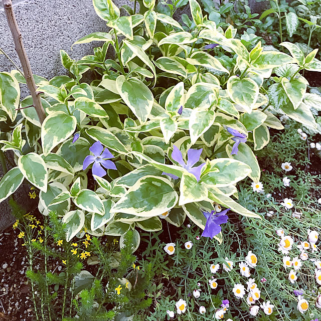 yanada0606さんの実例写真