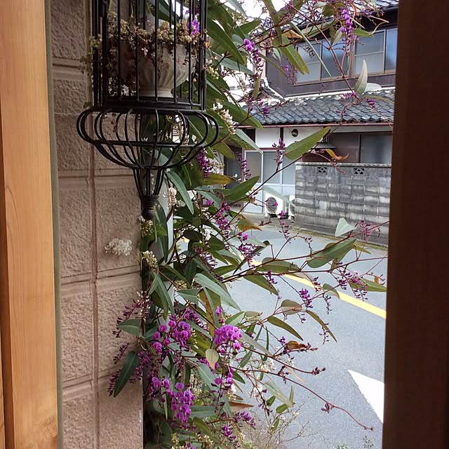 Nobukoさんの実例写真