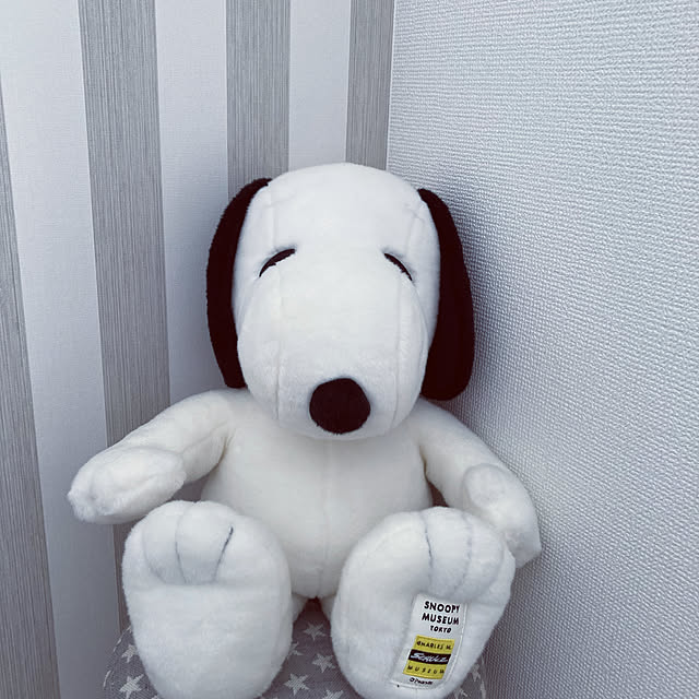 snoopyさんの実例写真