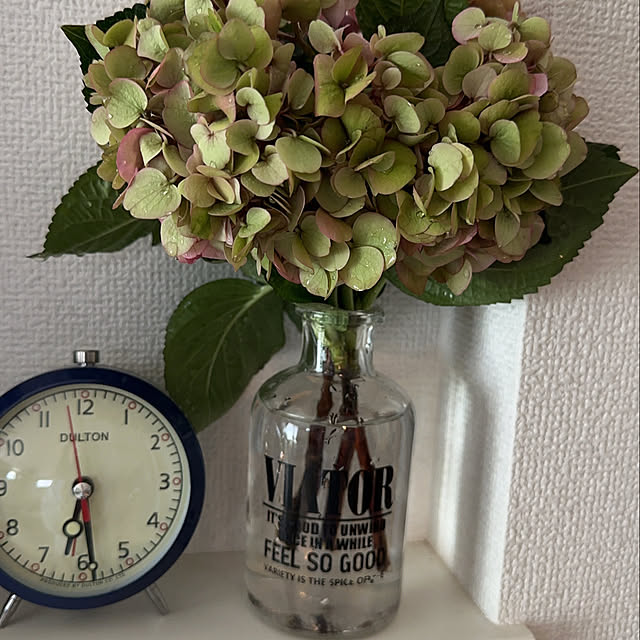 NONRYOT7さんの実例写真