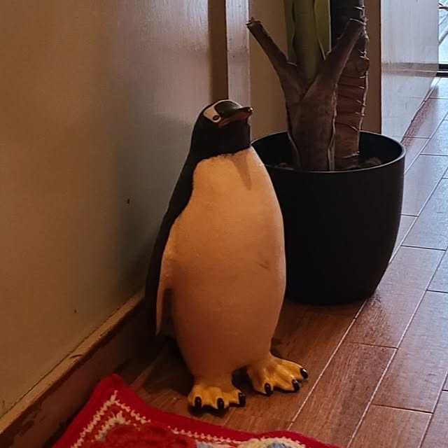 monnさんの実例写真
