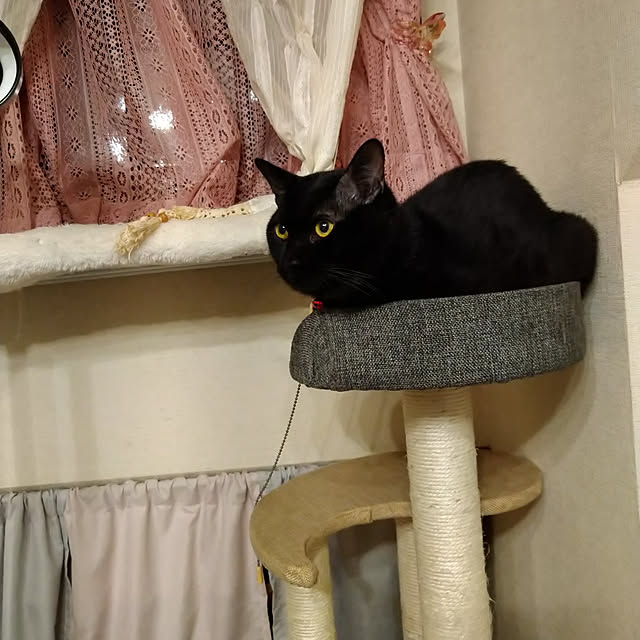 Tさんの実例写真