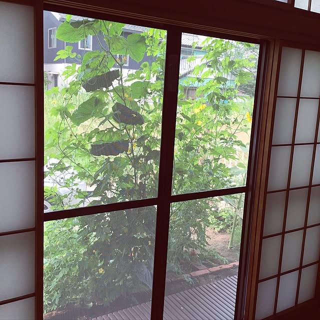 kasさんの実例写真