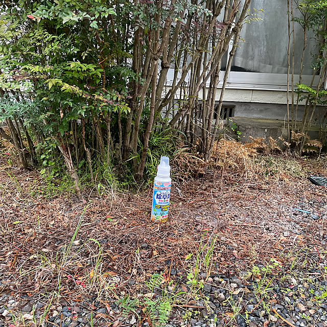 burubonさんの実例写真