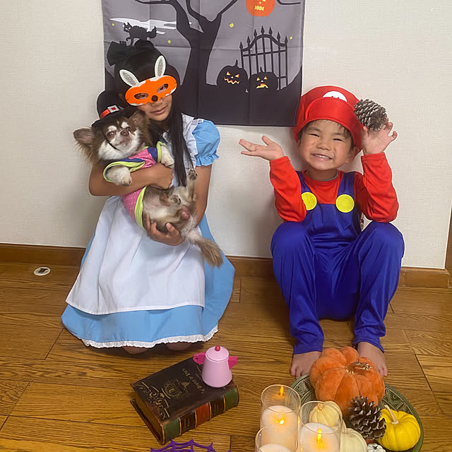 chIoeさんの実例写真