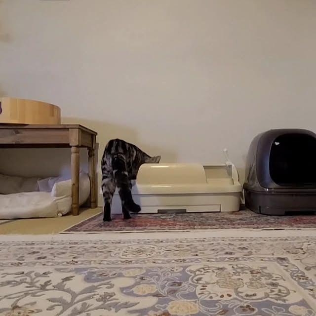 lovepeaceさんの部屋