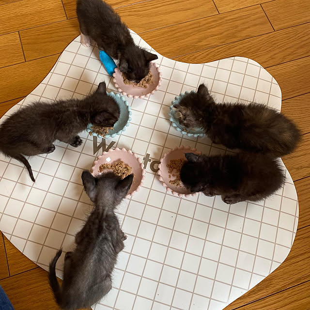 prelumoさんの実例写真