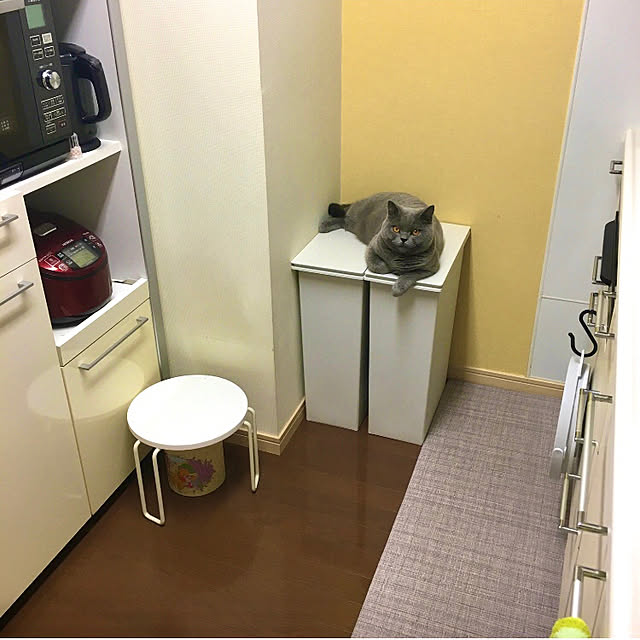 kittyさんの実例写真