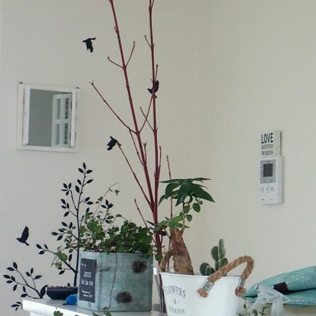 naomi.december.30さんの実例写真