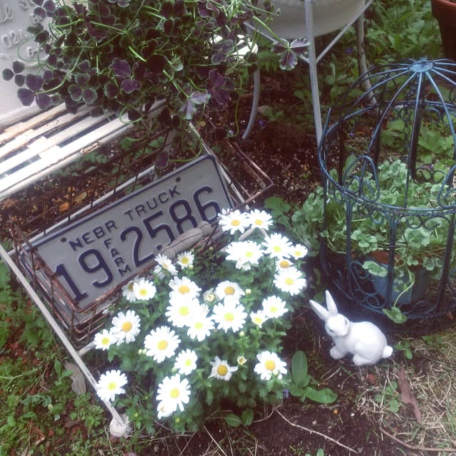 showさんの実例写真