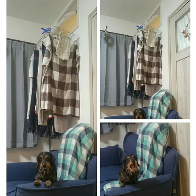 chocococoaさんの実例写真
