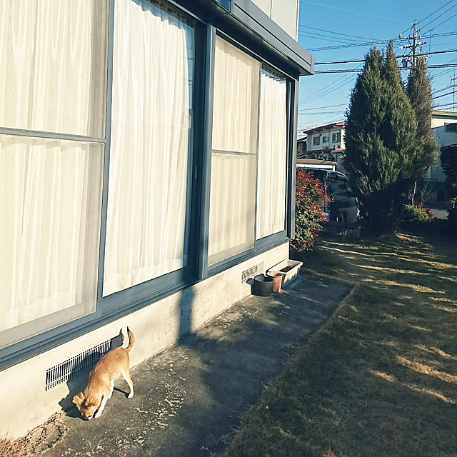 nattimomoさんの実例写真