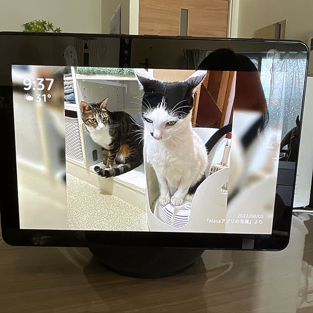 aureaさんの実例写真