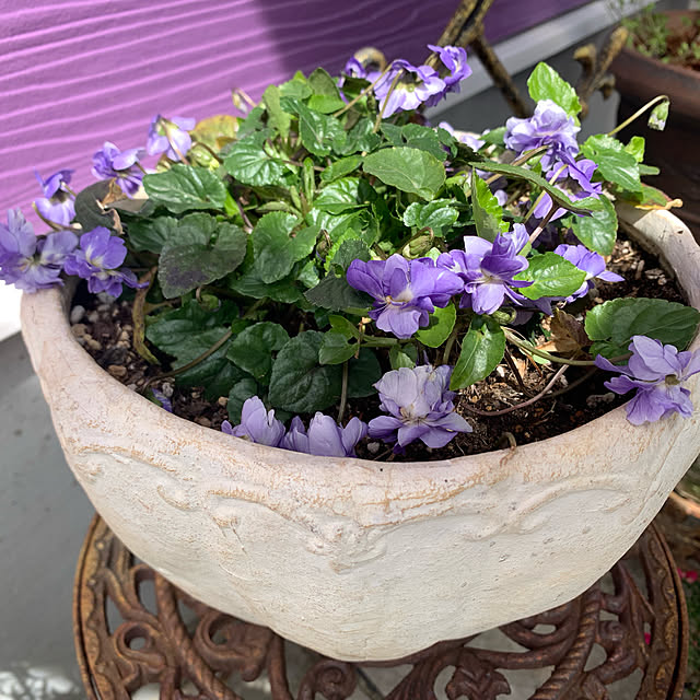 AYUKOさんの実例写真