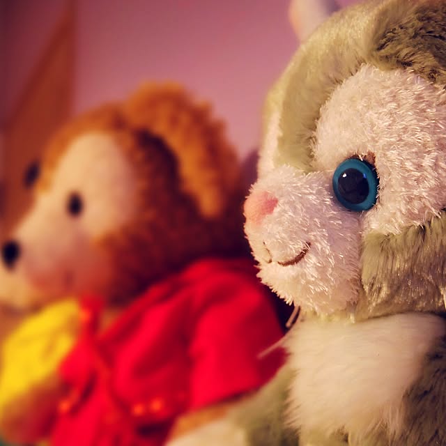 chinaaaさんの実例写真