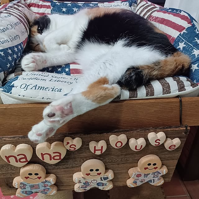 nanaさんの部屋