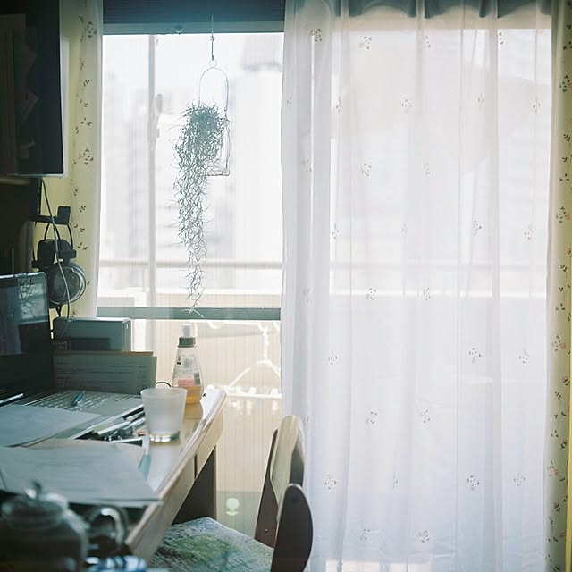 Glueさんの実例写真