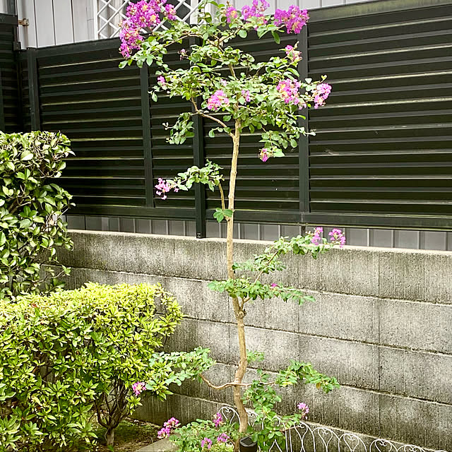 YuuKoさんの実例写真