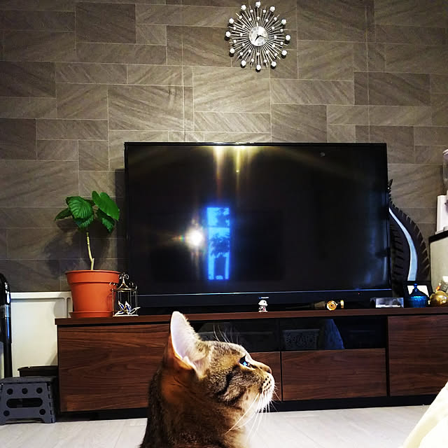 uutann320mozukuさんの実例写真
