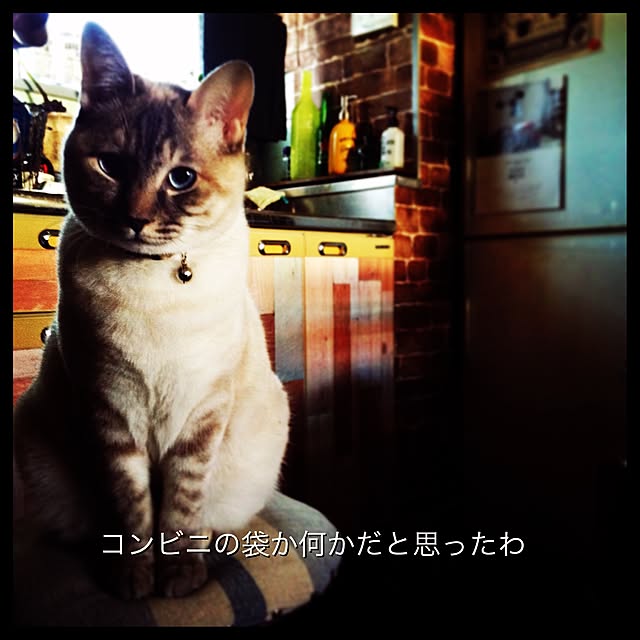 Naoki.さんの実例写真