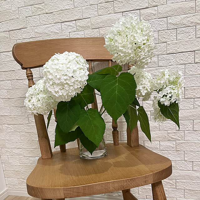 mihoさんの部屋
