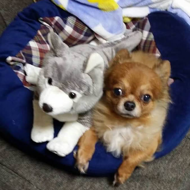 実例写真