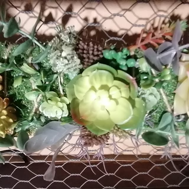 fukafukacatさんの部屋