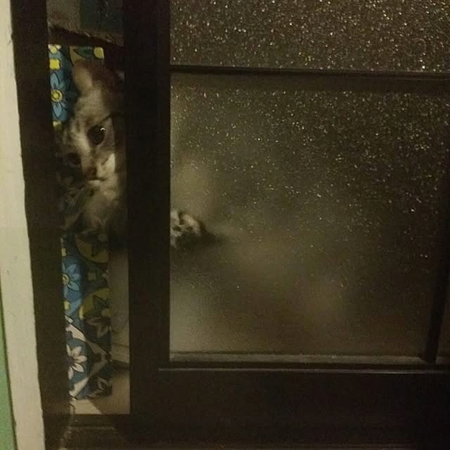 annさんの実例写真
