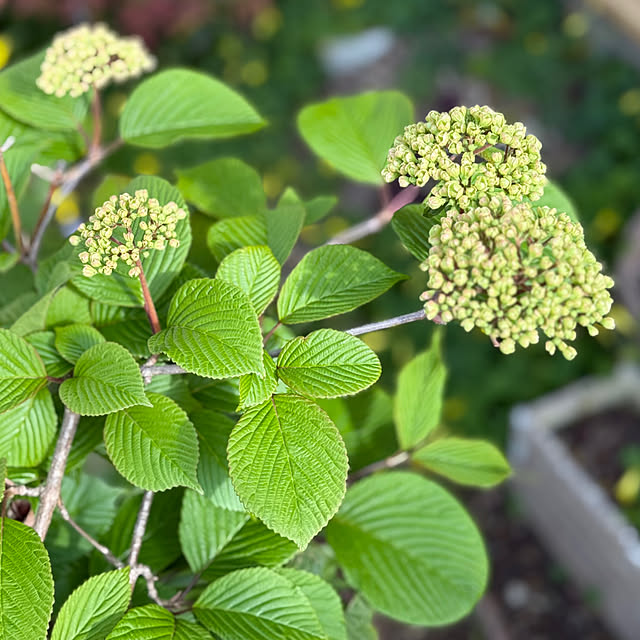 asako.10さんの部屋