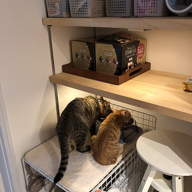 chiroyamanekoさんの実例写真