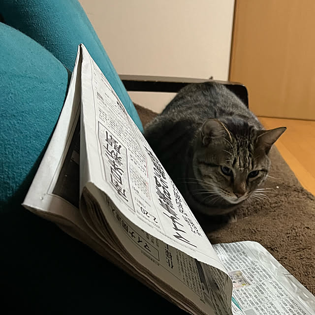 mikan161さんの実例写真