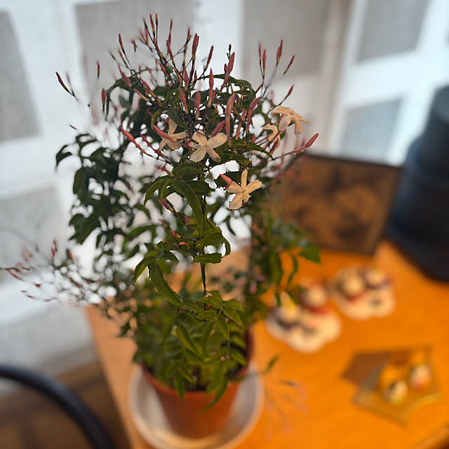 kukiharaさんの実例写真