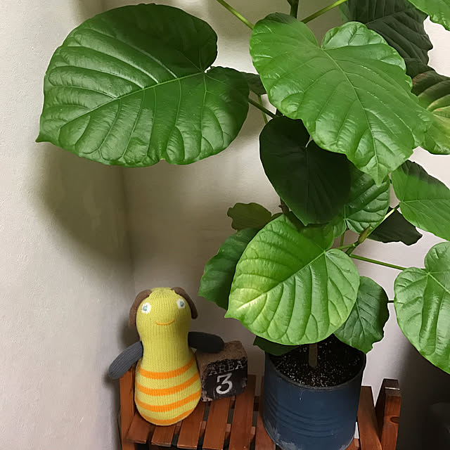 Unokiさんの実例写真