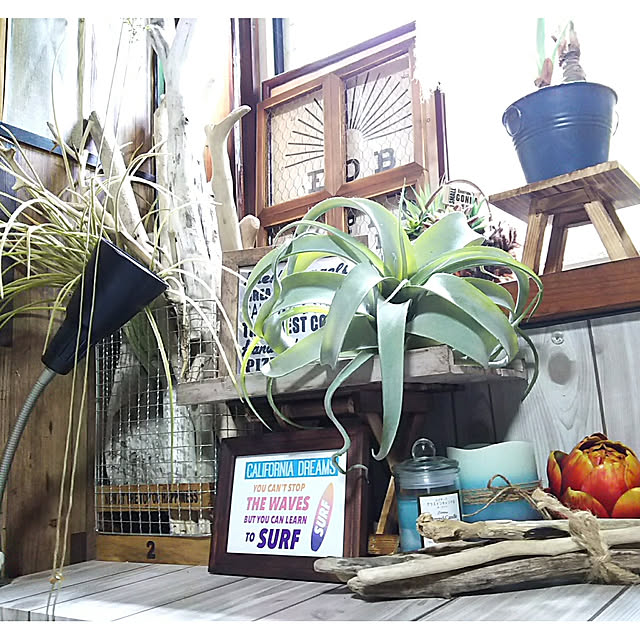 tomokaさんの実例写真