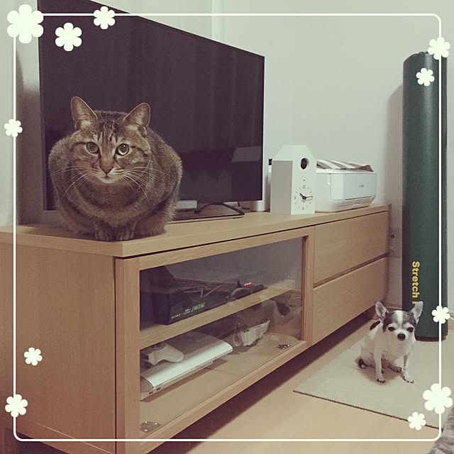 Emiさんの実例写真