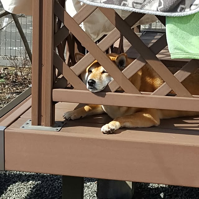 konatuさんの実例写真