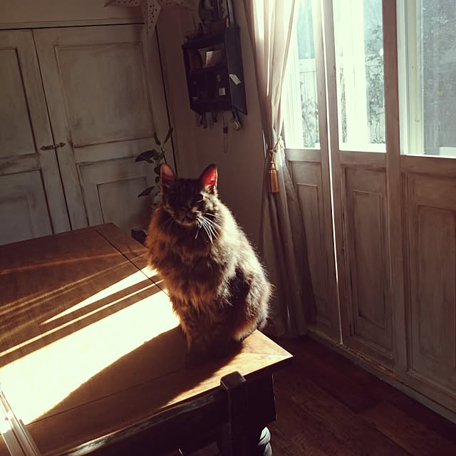 実例写真